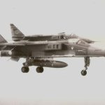 1981 Duduche Olive 1981 Duduche Olive