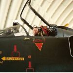 Henri Homo Henri Homo