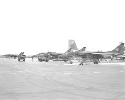 Les Jaguars Les Jaguars