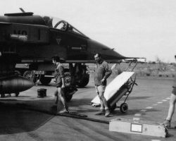 Les pétafs à l'oeuvre Les pétafs à l'oeuvre