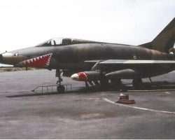 F100 requin Djibouti F100 requin Djibouti