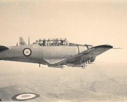 T6 en Algérie T6 en Algérie