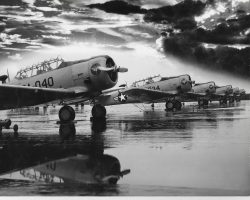 Les débuts aux USA Les débuts aux USA