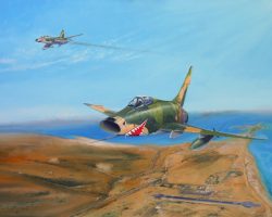 Les requins de la mer rouge Les requins de la mer rouge