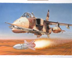 Tir Martel sur Ouadi-Doum Tir Martel sur Ouadi-Doum