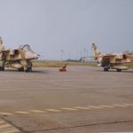 Le 1/11 : tout une histoire Le 1/11 : tout une histoire