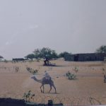 Juste au delà de la base NDJ Juste au delà de la base NDJ