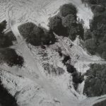 Nos chers biffins Nos chers biffins