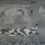 Début 1987, dernier DETAM au Tchad Début 1987, dernier DETAM au Tchad