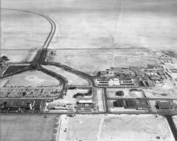 Al Asha 1991 Al Asha 1991