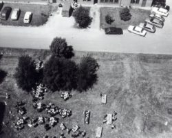 1/11 1981 Pendant un méchoui 1/11 1981 Pendant un méchoui