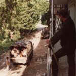 Pélissier Pélissier