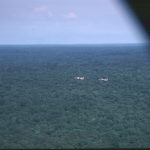 Au dessus du persil 1987-bangui-2