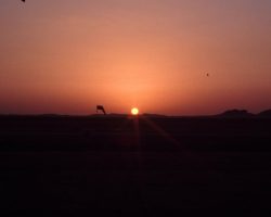 Une petite touche artistique : biroute sur coucher de soleil Une petite touche artistique