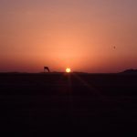 Une petite touche artistique : biroute sur coucher de soleil Une petite touche artistique