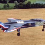 20 ans Jaguar (Schwebel) 20 ans jaguar (schwebel)