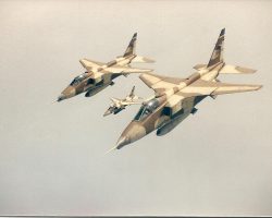 3 JAG sable 3 JAG sable