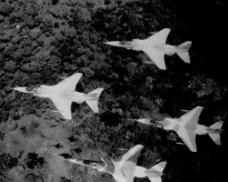 4 Jaguar au dessus du persil 4 Jaguar au dessus du persil