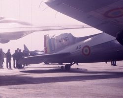 DC3+DC4-JAGUAR DC3+DC4-JAGUAR