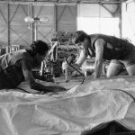 Epervier-armurier Epervier-armurier