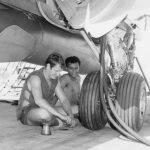 Epervier mécanos Epervier mécanos