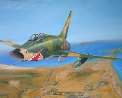 Les requins de la mer rouge Les requins de la mer rouge