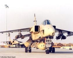 JAG 4x250kg JAG 4x250kg