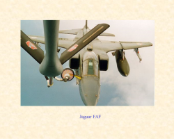 RVT Jaguar RVT Jaguar