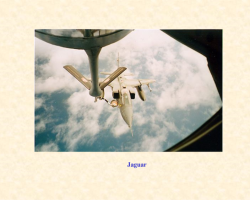 RVT Jaguar RVT Jaguar