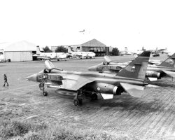 Manta Manta