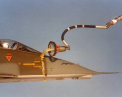 "Enquillé" "Enquillé"