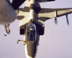 Jaguar vanille / chocolat Jaguar vanille / chocolat