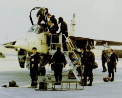 Sortie de l'avion pour Charly Sortie de l'avion pour Charly