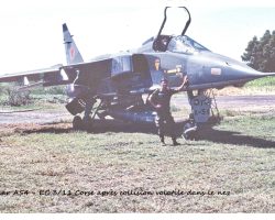 Ah ! Le Jaguar.... Ah ! Le Jaguar....