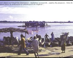 Le Chari et en face le Cameroun Le Chari et en face le Cameroun