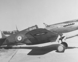 Tomahawk IIB abattu le 26 juin 1941 par la DCA à Beyrouth. le P-40 a été l'adversaire le plus coriace auquel les Français ont eu à faire face.