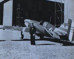 Pierre Le Gloan, en tenue de cérémonie et toutes décorations dehors, pose après la campagne de Syrie devant son nouveau Dewoitine 520 personnel (n°300), qui porte les couleurs réglementaires de l’armée de l’air d’armistice imposées par l’Allemagne – les bandes jaunes et rouges sur le capot-moteur et la partie arrière de l’appareil, que les pilotes surnomment « livrée d’esclave ».