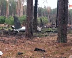 Trois vues de l’épave du « 39 bleu », tombé le 25 février dans une forêt au nord-ouest de Kiev.