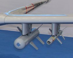 Le Bayraktar peut emporter 60 kg de bombes planantes guidées, soit deux MAM-L de 22,5 kg et deux MAM-C de 7 kg. Les premières servent à engager les blindés et les petits navires, les secondes sont utilisées contre l’infanterie et les véhicules légers.